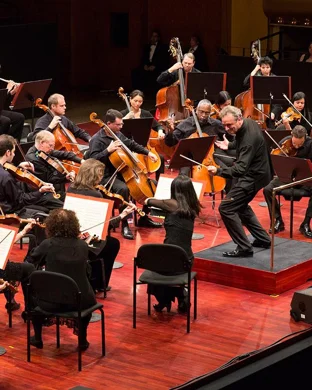 Lateralus - Tribute to Tool