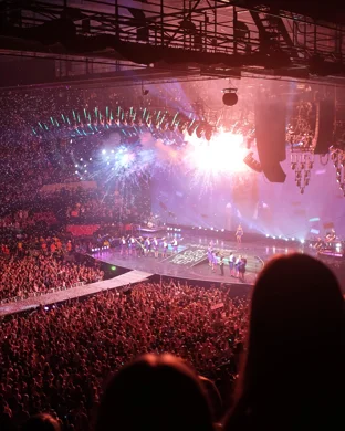 Warped Band - Tribute to Warped Tour