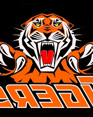 Auburn Tigers vs. Nebraska Cornhuskers