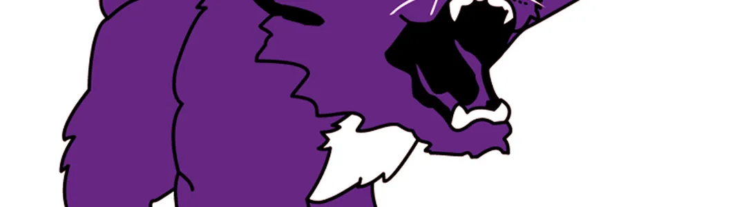 Kansas State Wildcats