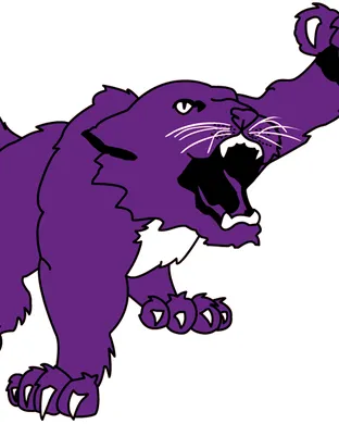 Kansas State Wildcats Baseball