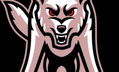 South Dakota Coyotes 