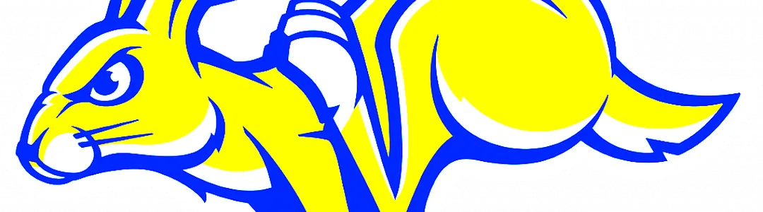 South Dakota State Jackrabbits