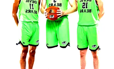 Utah Valley Wolverines