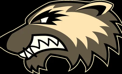 Utah Valley Wolverines