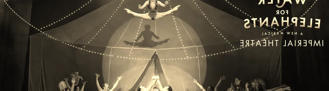 Water for Elephants - The Musical