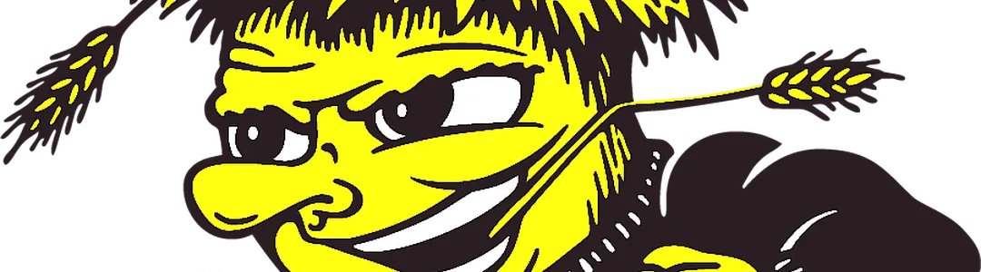 Wichita State Shockers