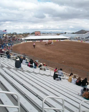 Bulls, Bands And Barrels