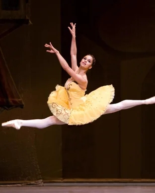 Stars of American Ballet theatre performance